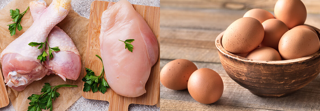 管理栄養士に聞いた！“鶏肉”と“卵”のたんぱく質を上手に取り入れて、からだづくりに役立てるコツ